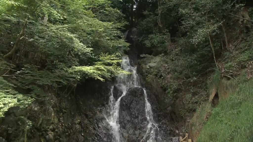 夏の暑さを忘れる！自然のひんやり空間に心と体を癒やされよう！