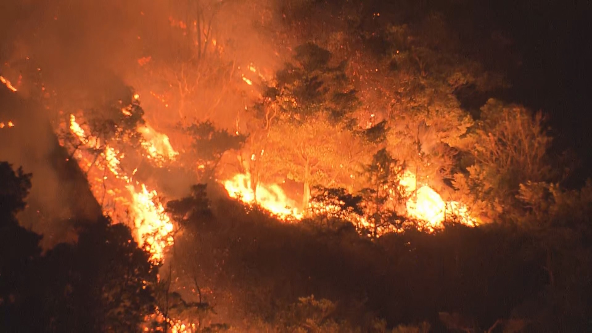 「二島で山火事です」山口市で山火事発生　５時間以上経過しても燃え続ける　山口・山口市