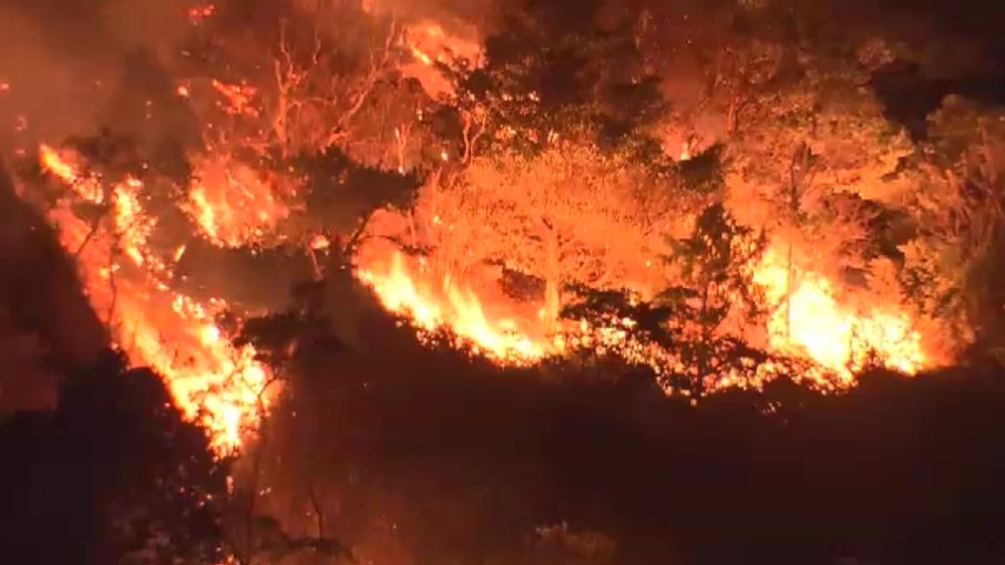 丸1日たっても鎮火せず…山口市の山火事「草刈りで集めた草から煙」の情報も　約50ヘクタール焼き消火活動続く