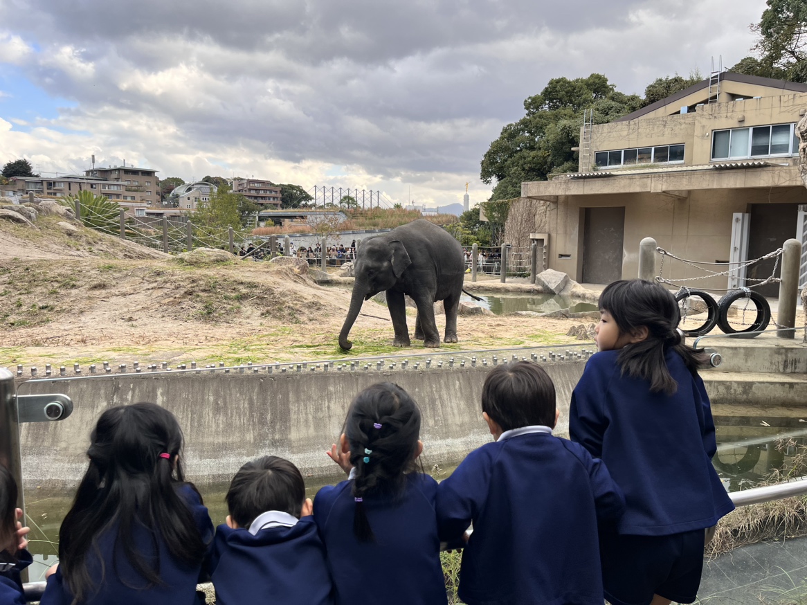 「ゾウさーん！」　福岡市動物園のアジアゾウ一般公開始まる　４頭の名前も発表　福岡市