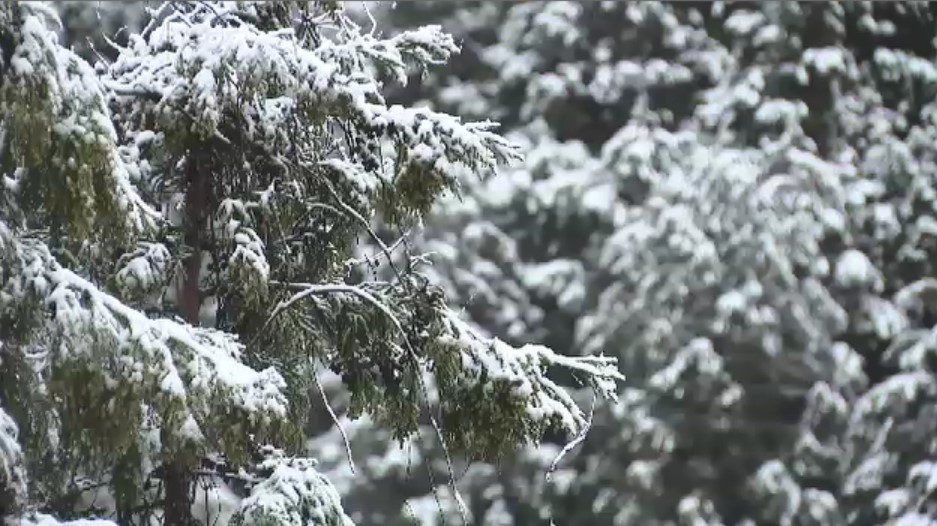 福岡で大雪に注意…28日明け方から昼前にかけて　山地で5センチ　平地で最大3センチ予想　落雷や激しい突風にも注意