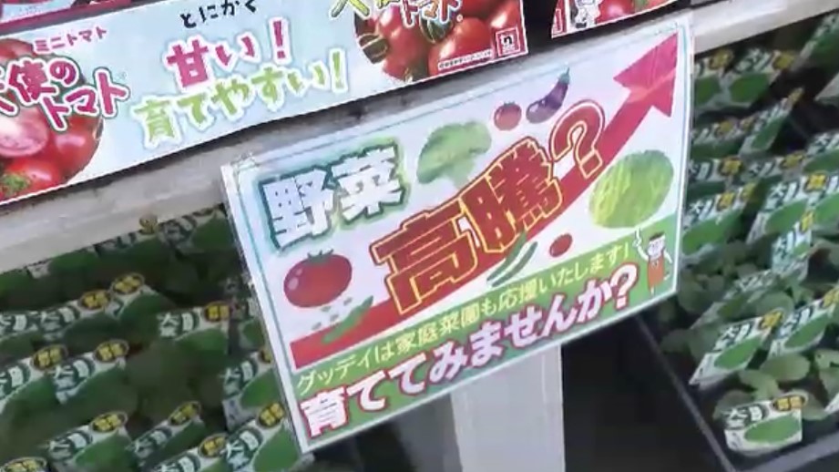 5月も続く“物価高騰”　家計を助ける「家庭菜園」が人気　トマト・ピーマン・キュウリ・ナスの苗が売れ行き好調