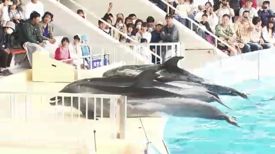 物価高騰の波は水族館にも　イカの値上がり「一番大きい」　エサの仕入れに苦労も入館料上げずに営業　福岡市・マリンワールド海の中道