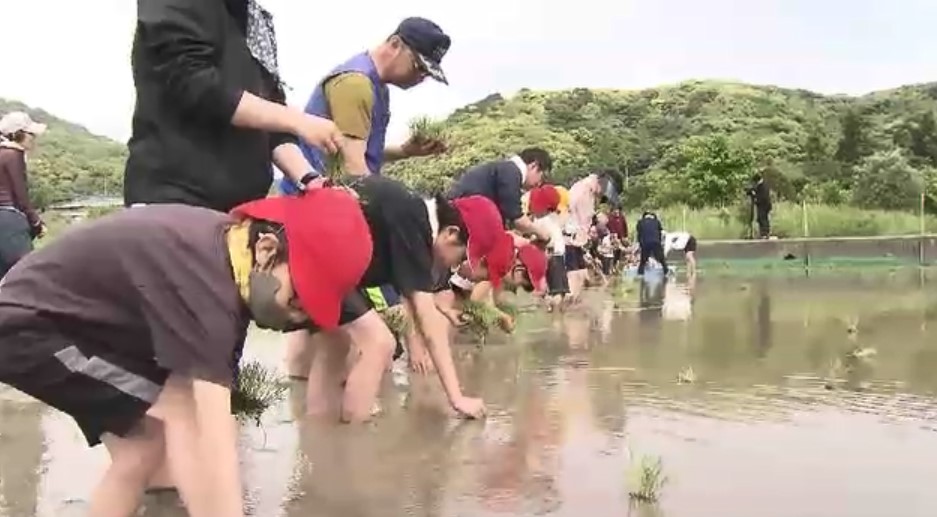 「棚田のオーナー」になって田植え体験　年間4万円で米や山菜受け取れる「1粒1粒の大事さ感じる」　小学生も田植え挑戦　福岡