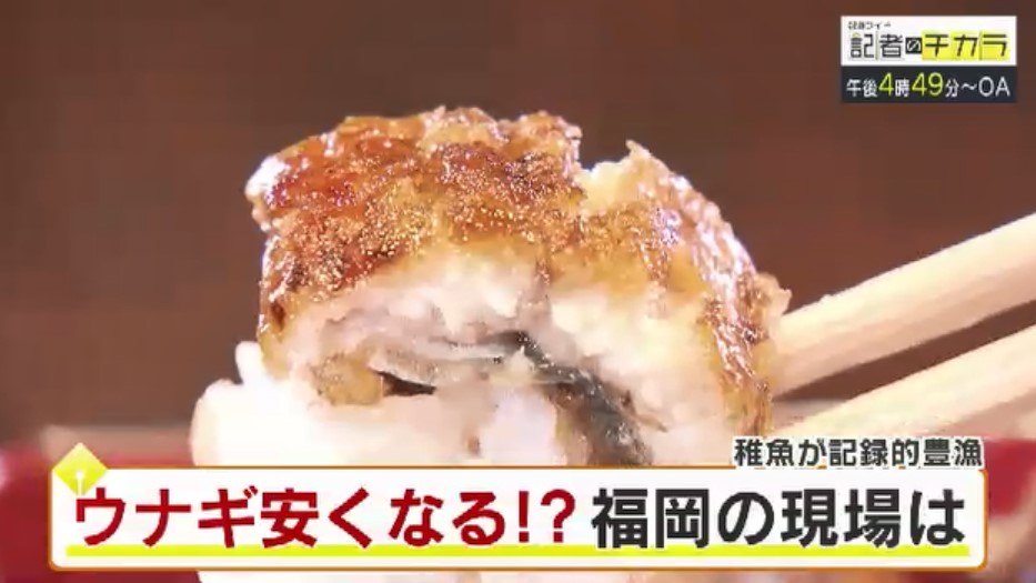 きょう午後4時49分～　「記者のチカラ」は…