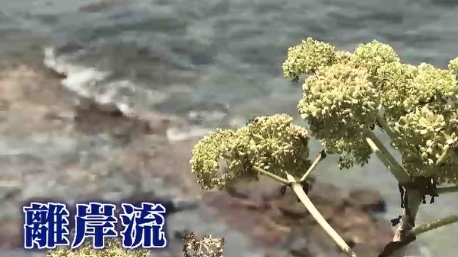 「突然ストンと深くなる」現場付近で離岸流たびたび発生か　小学生2人溺れた事故　「子供だけで川や海に行かない」市教委が通知　福岡