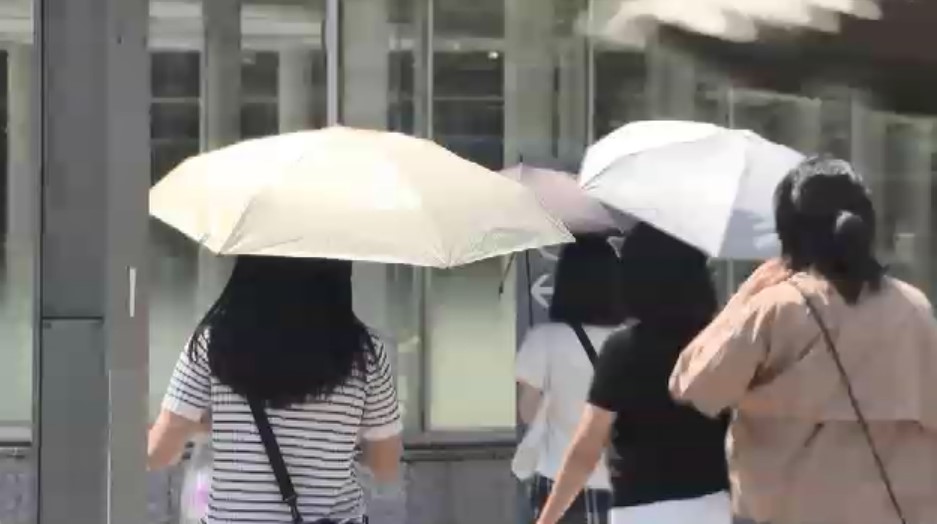 あなたの日傘、劣化していませんか？　福岡の老舗店が教える“長持ちテク”　重要なのは「畳み方」