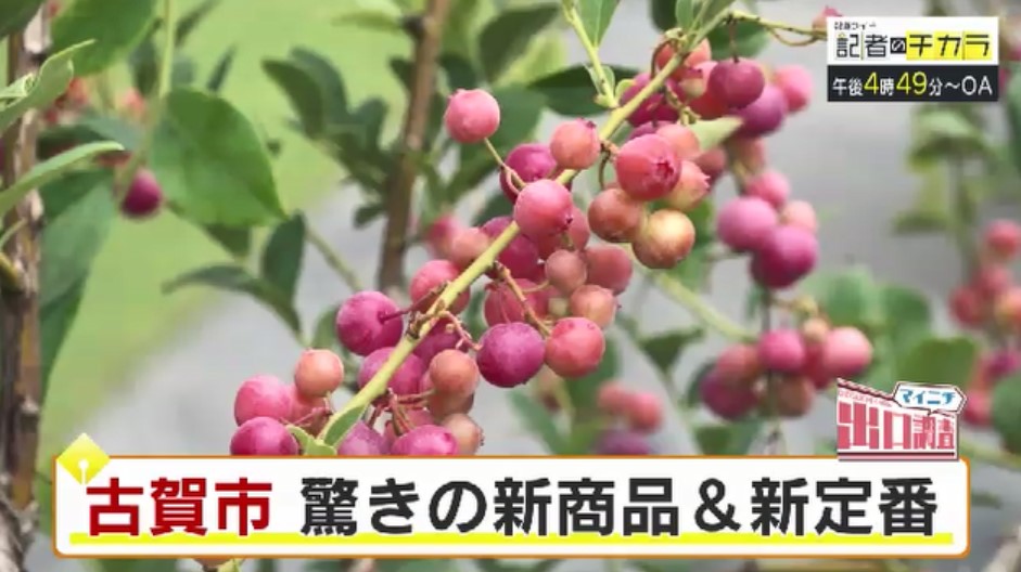 きょう午後4時49分～　「記者のチカラ」は…