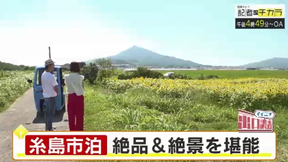 きょう午後4時49分～　「記者のチカラ」は…