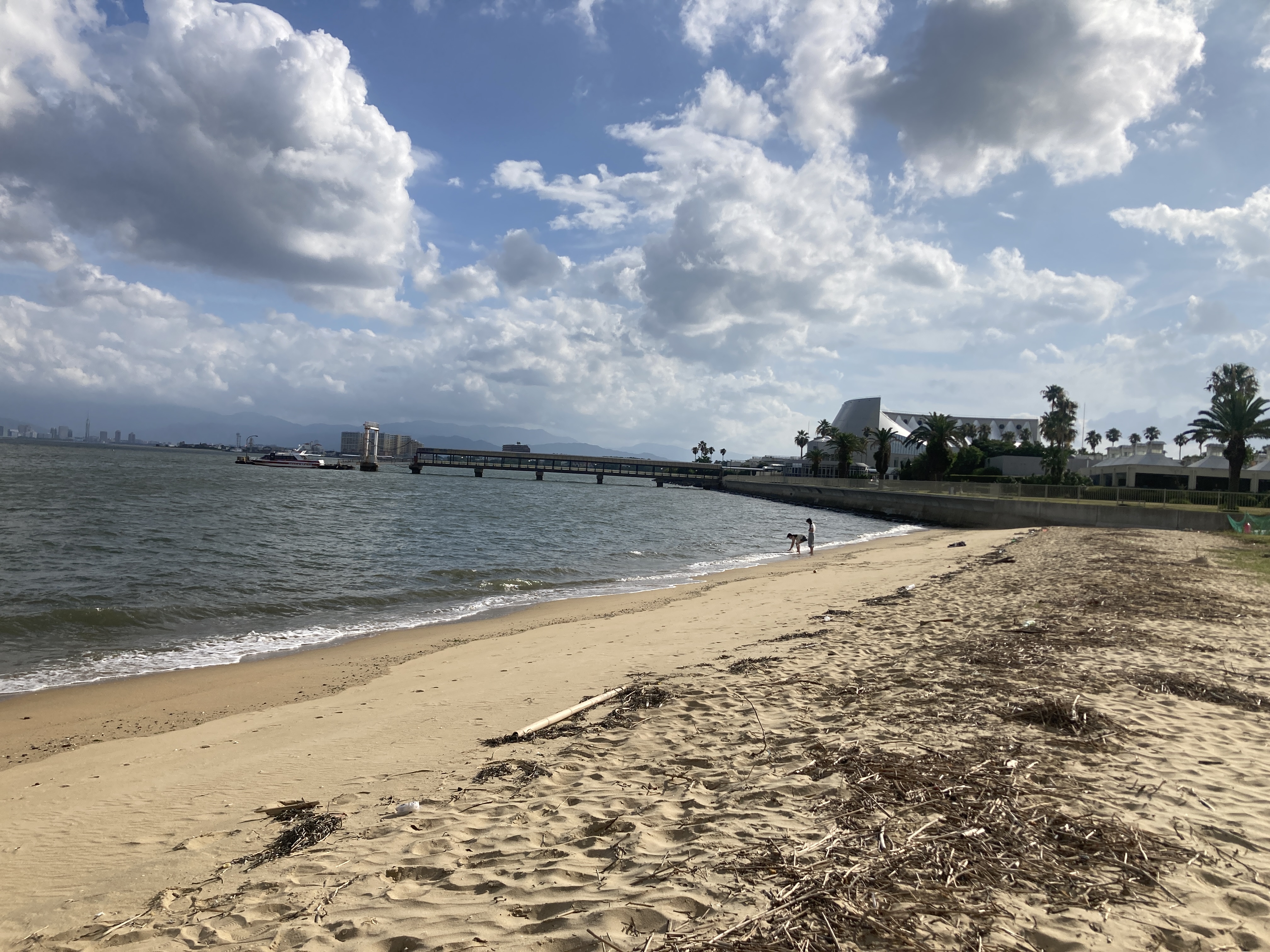【速報】博多湾で発見の切断右足と上半身遺体　成人で同一人物の可能性高いと判明　死因特定には至らず　身元の確認急ぐ　福岡