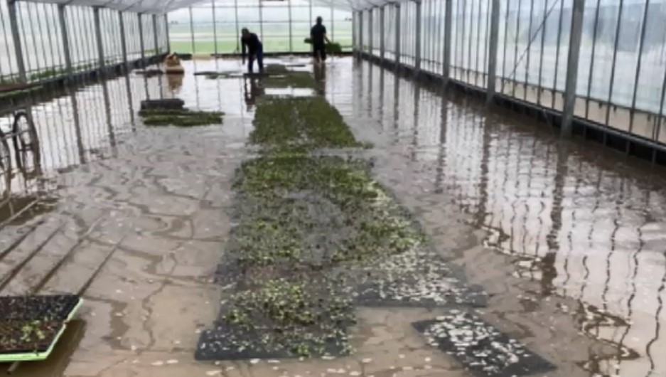 記録的大雨で29億円以上の被害　県が農林水産業に1.6億円規模の緊急支援　修繕費用などの補助や運転資金の無利子融資　福岡
