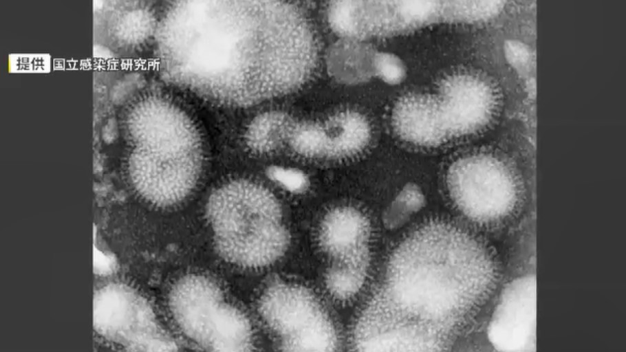 県内でインフルエンザ感染広がる…感染者数が前週の約2倍に　手洗いなど対策呼びかけ　「リンゴ病」は18週連続で警報レベル　福岡
