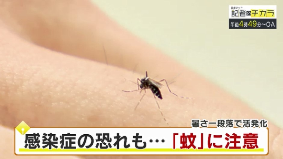 きょう午後4時49分～　「記者のチカラ」は…