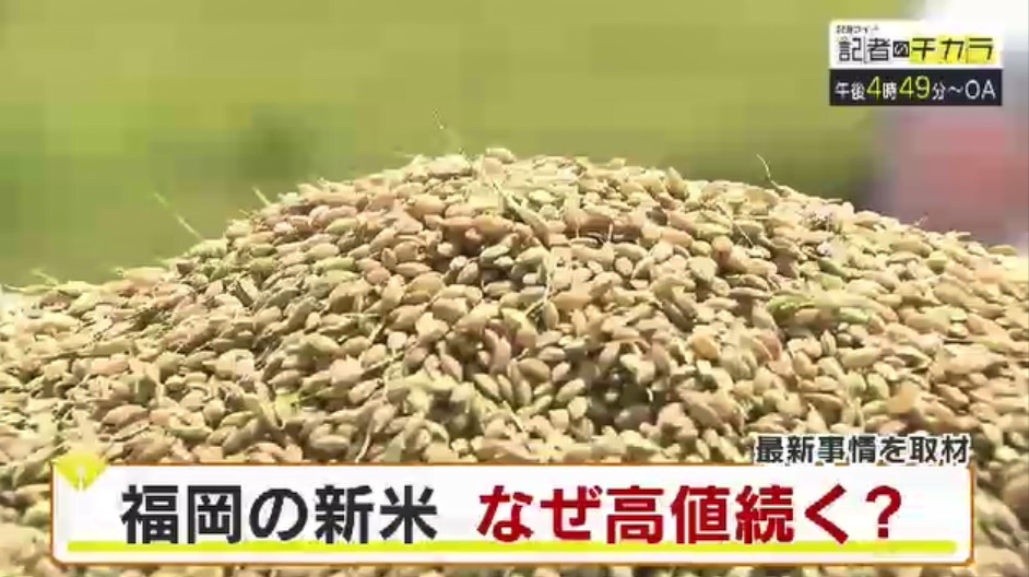 きょう午後4時49分～　「記者のチカラ」は…