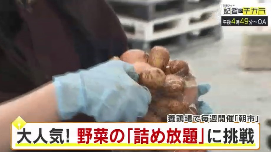 きょう午後4時49分～　「記者のチカラ」は…