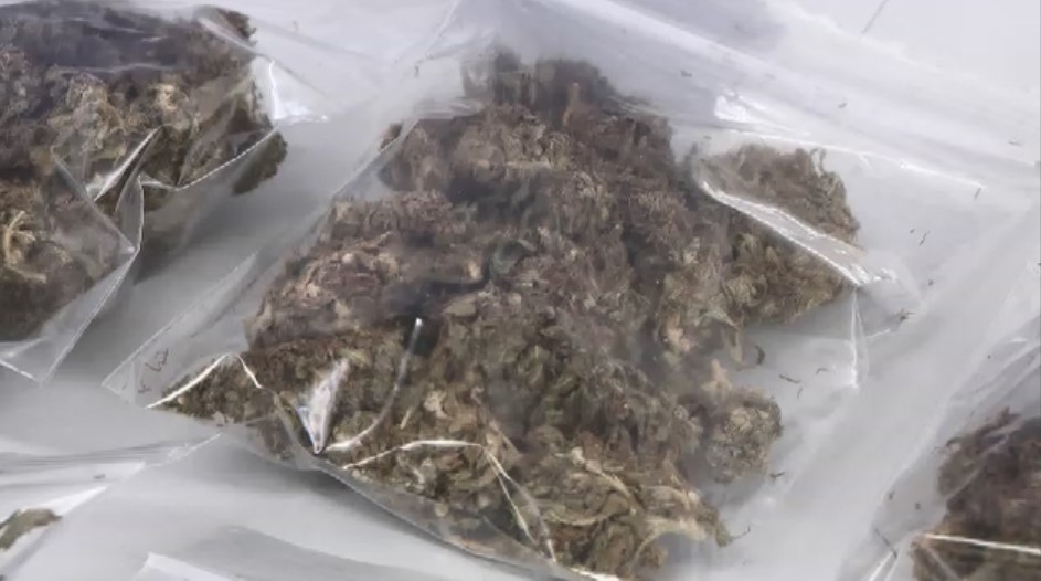 九電工改め「クラフティア」社員を“大麻密売”で逮捕　約300グラム郵送し販売した疑い　別の人物から入手して転売か　麻薬取締部