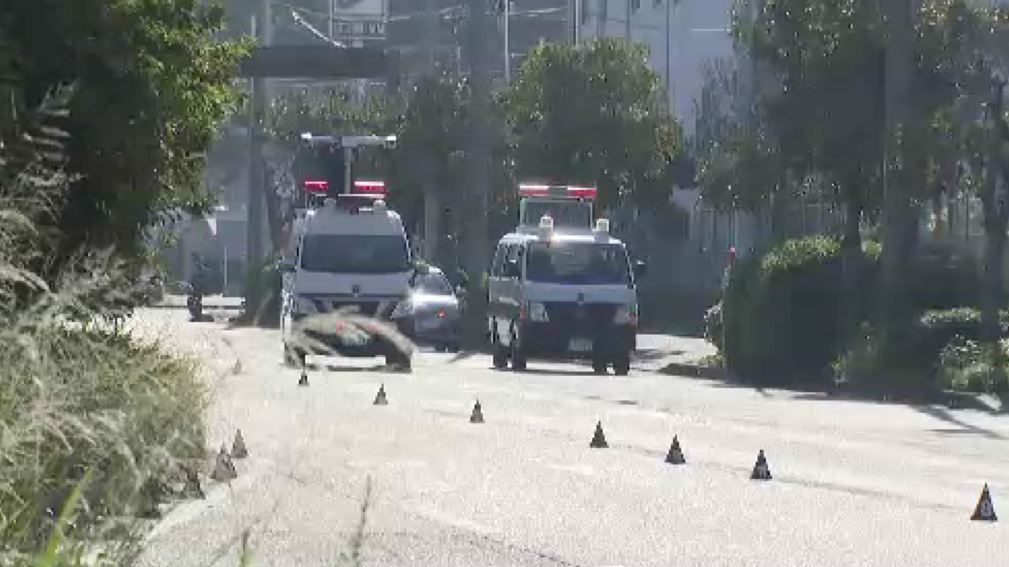 福岡市の路上に女性の遺体　下半身に大ケガ　ひき逃げか　警察が捜査