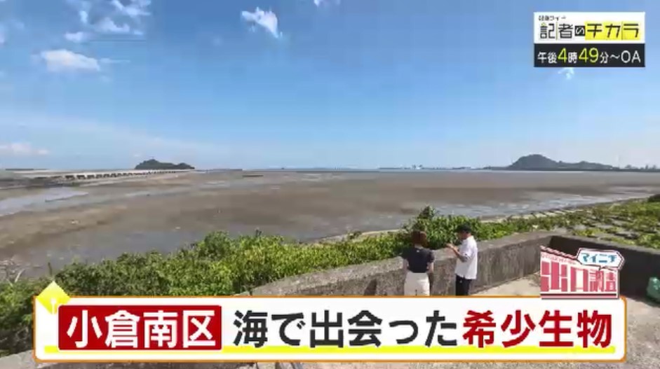 きょう午後4時49分～　「記者のチカラ」は…