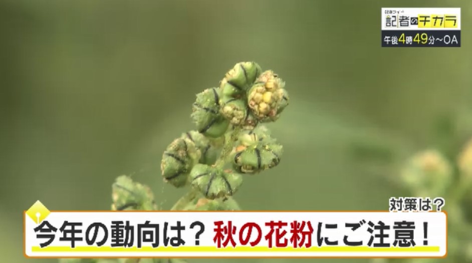 きょう午後4時49分～　「記者のチカラ」は…