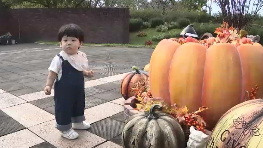 カボチャやお化けに囲まれて…ハロウィーンのフォトスポットはいかが　家族や愛犬と記念撮影　園内に10カ所以上　福岡・海の中道海浜公園