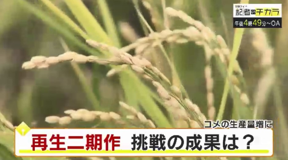 きょう午後4時49分~ 「記者のチカラ」は…