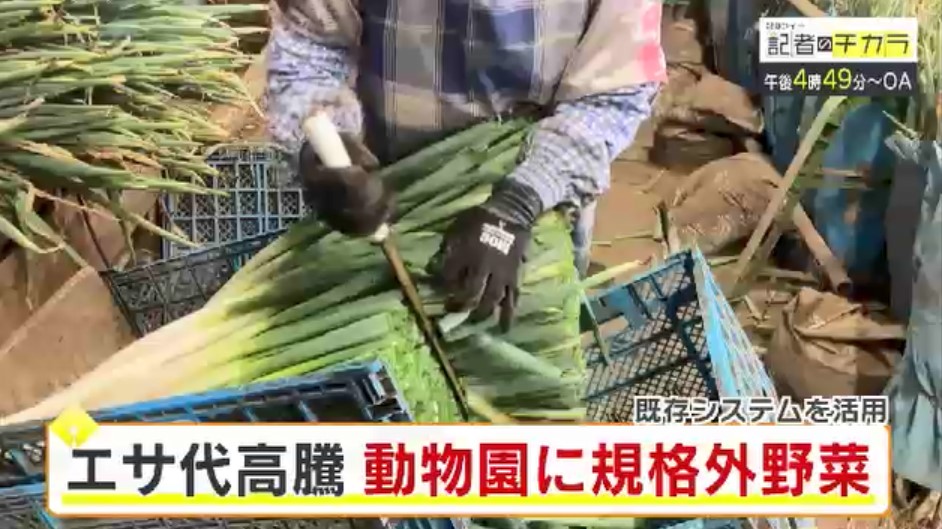 きょう午後4時49分~ 「記者のチカラ」は…