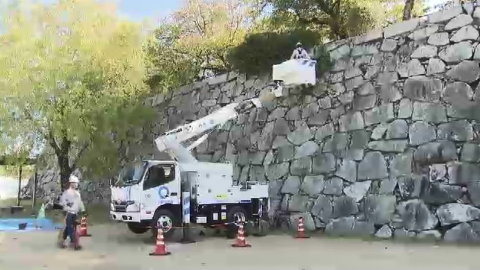 福岡城跡の大掃除に「高所作業車」　手の届かない石垣の“草抜き”　「皆さんの役に立てることが励み」