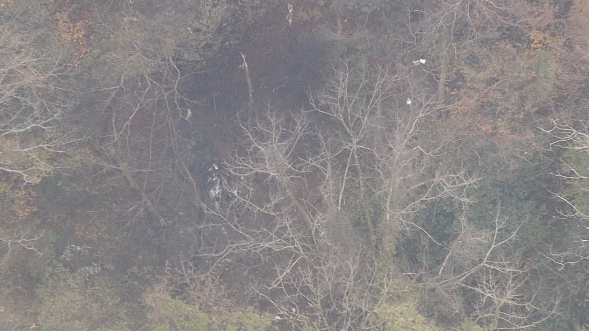 【現場映像】墜落したとみられる小型機　取材ヘリコプターが山中で確認　うっすらと白煙上がる　機体は原形とどめず　福岡・八女市