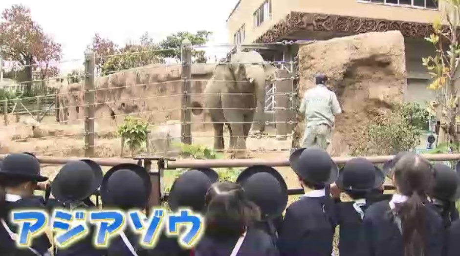 幼稚園児が動物園の飼育員にプレゼント 手作りの首飾りや園で育てたサツマイモなど 勤労感謝の日を前に 福岡市