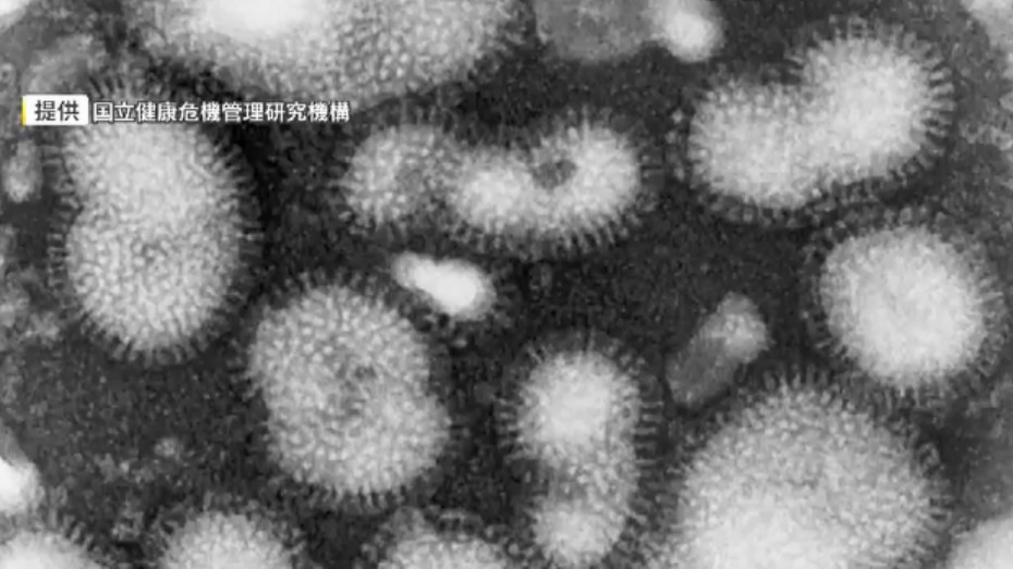 福岡県内インフルエンザ「注意報」続く 12月中旬ごろ流行ピークか 小1マンション転落事故も 子供の異常行動にも注意
