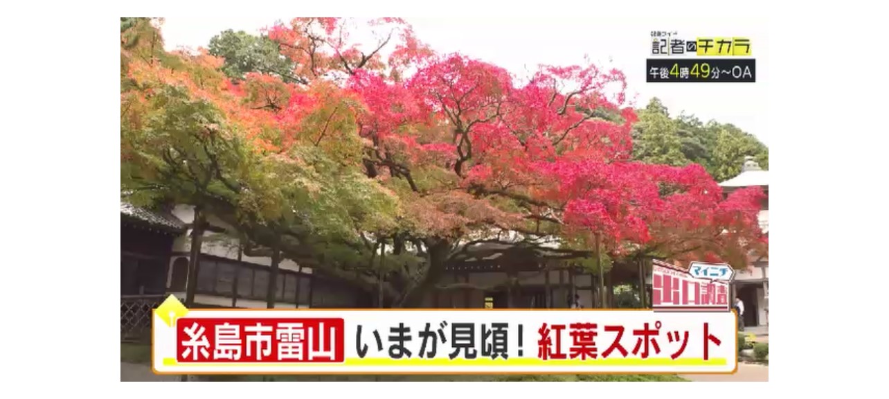きょう午後4時49分～　「記者のチカラ」は…