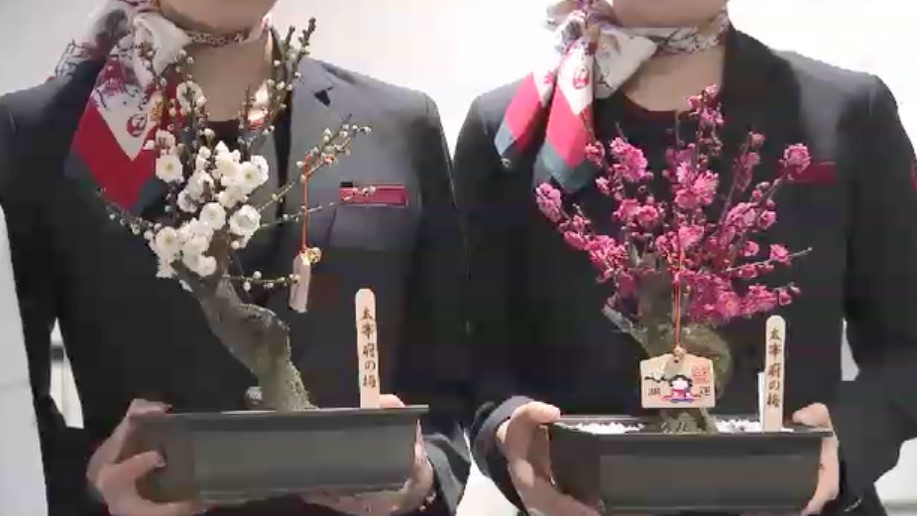 北海道に“春の便り”を 太宰府天満宮『梅の親善使節』が福岡を出発 「少しでも早い春を感じてもらえれば」