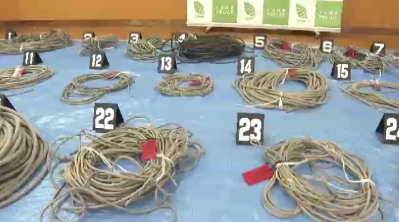 農業用ハウスから約370万円相当の銅線盗んだ疑い 20代男4人が30件の犯行に関与「遊ぶ金欲しかった」 せん定ばさみで切断し持ち去る 福岡