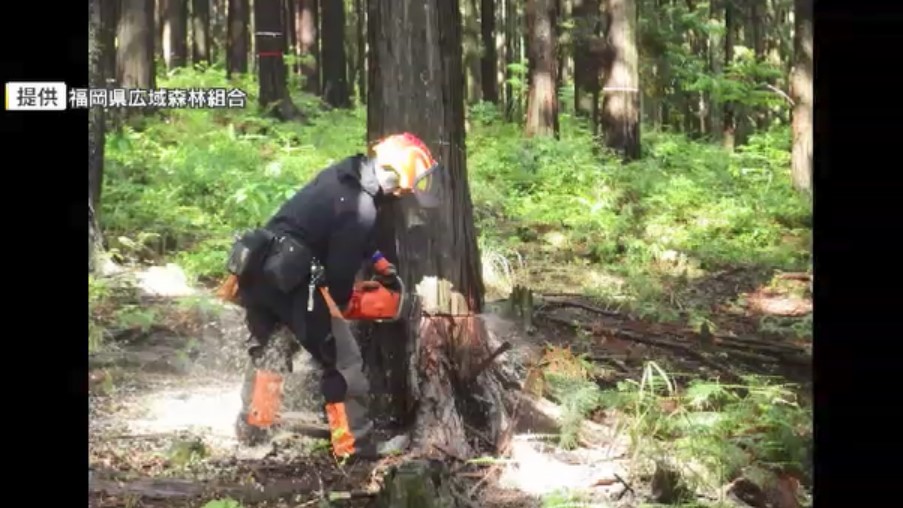 サーバー冷却のため大量の水を使用…LINEヤフーが水資源守るため費用を支援　森林組合と協定を結ぶ　遠賀川流域で保全活動　福岡
