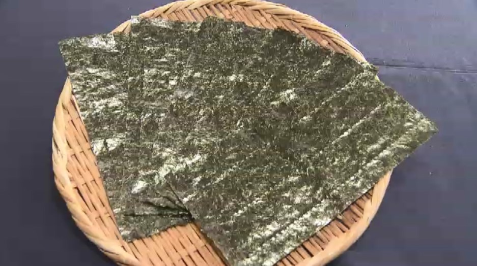 水不足が有明海「ノリ」生育に影響か　プランクトン大量発生で不作の中…“ダブルパンチ”の懸念　1月の降水量は“過去最少”　「途中で断念せざるを得なくなるかも」　福岡