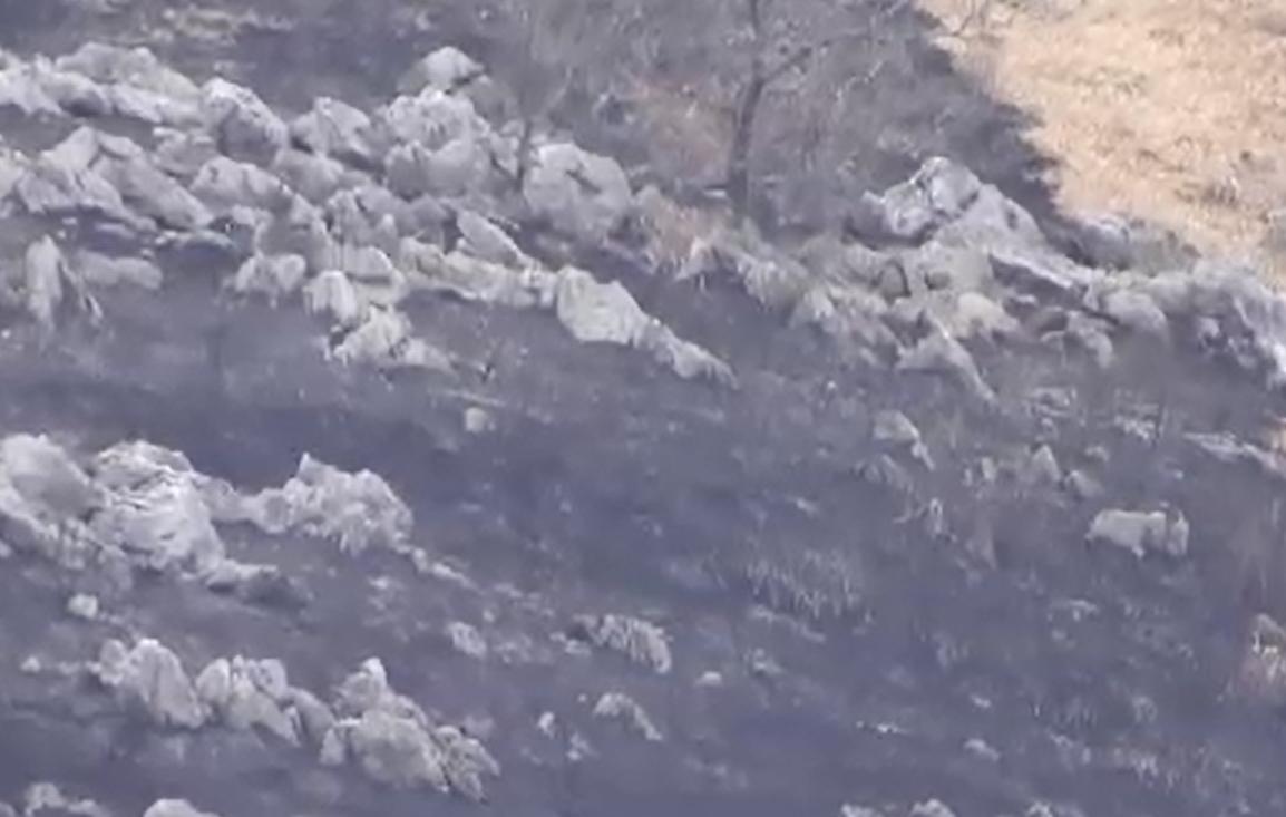 秋吉台「山焼き」で男性作業員1人死亡 衣服に火が燃え移る 山口・美祢市