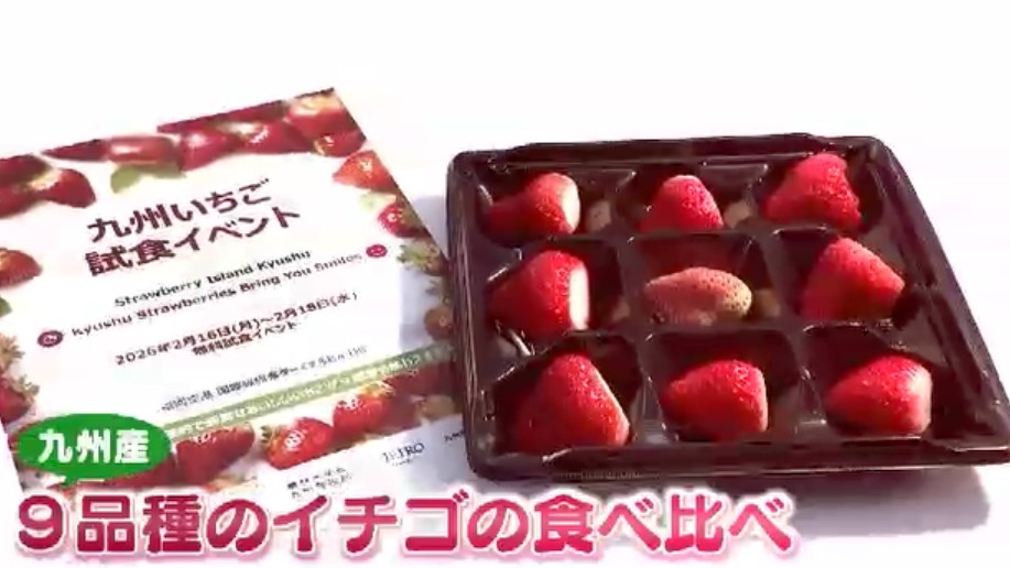「九州産イチゴの魅力知って」海外からの観光客に熱烈アピール　福岡空港で9品種を食べ比べできるイベント開催