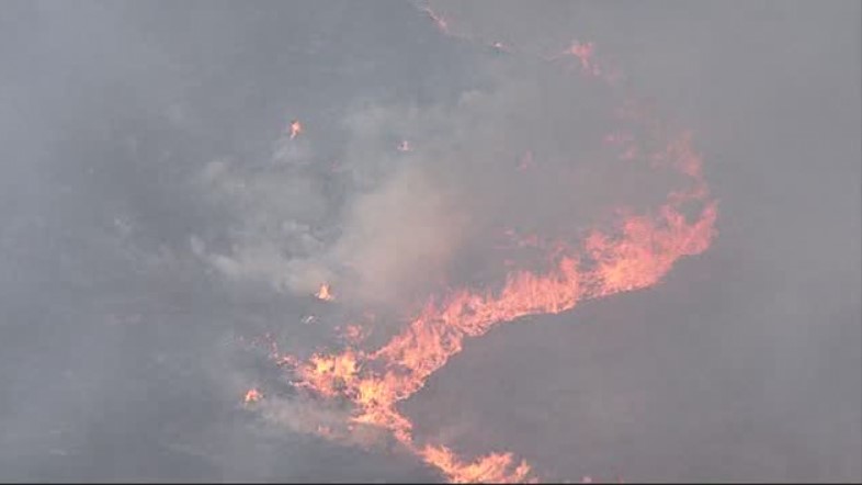 【速報】炎と煙が広がる　福津市で山林焼く火事　強風・乾燥注意報が発表中　消防が消火活動続ける　福岡