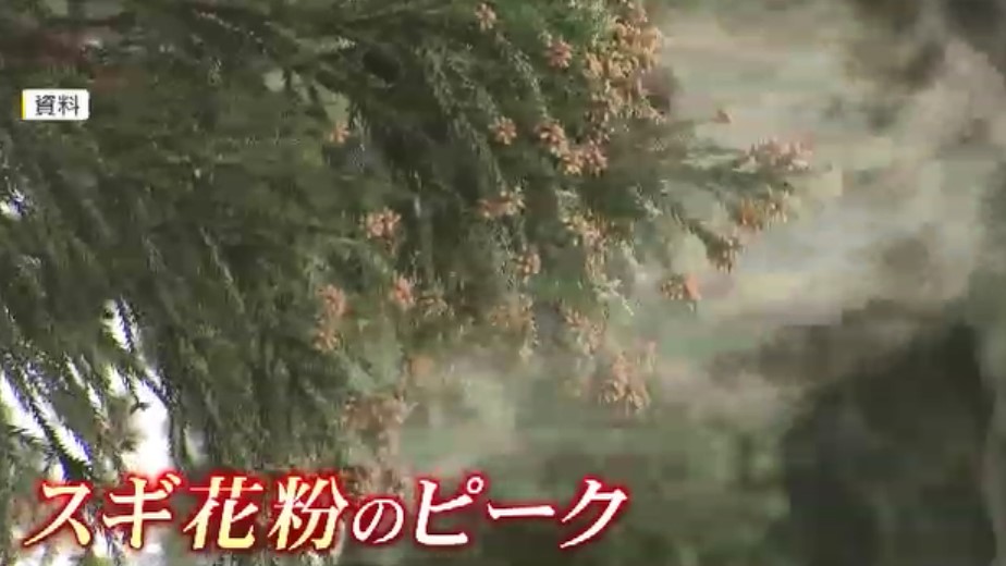 起床直後に花粉症の症状がつらい「モーニングアタック」　有効なのは空気清浄機より加湿器　重い症状には注射治療も　福岡
