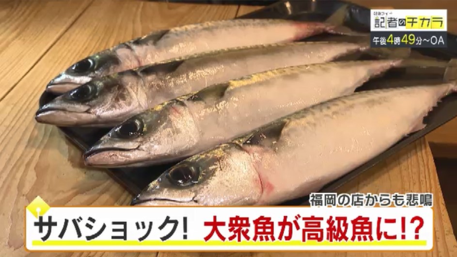 きょう午後4時49分~ 「記者のチカラ」は…