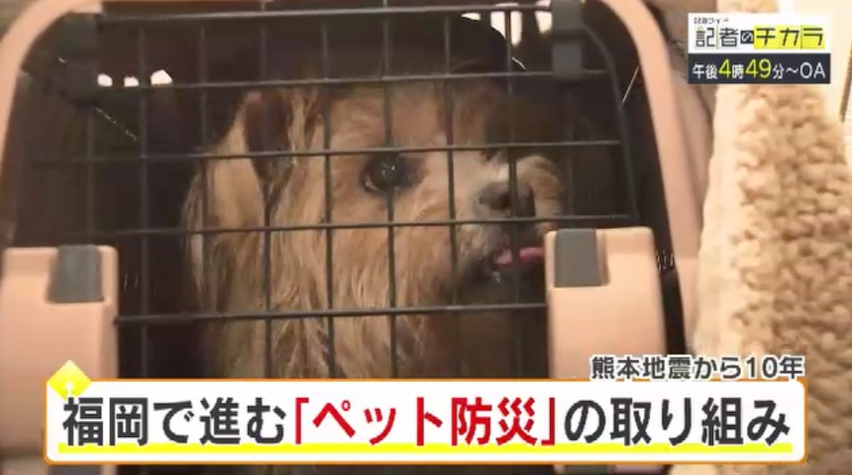 きょう午後4時49分～　「記者のチカラ」は…