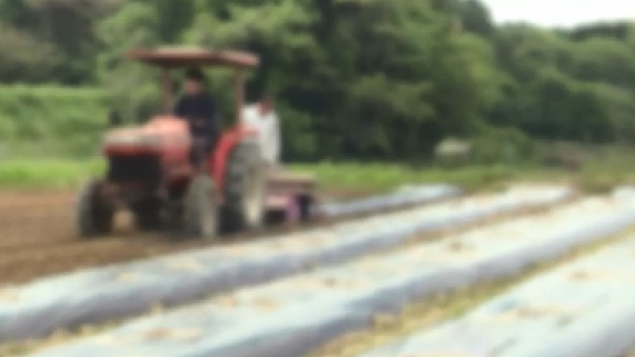 中東緊迫による資材高騰受け　福岡県が農林漁業者向け相談窓口を設置　県内22カ所　融資限度額600万円→1200万円など　「困ったことや不安なことがあれば積極的に相談してほしい」