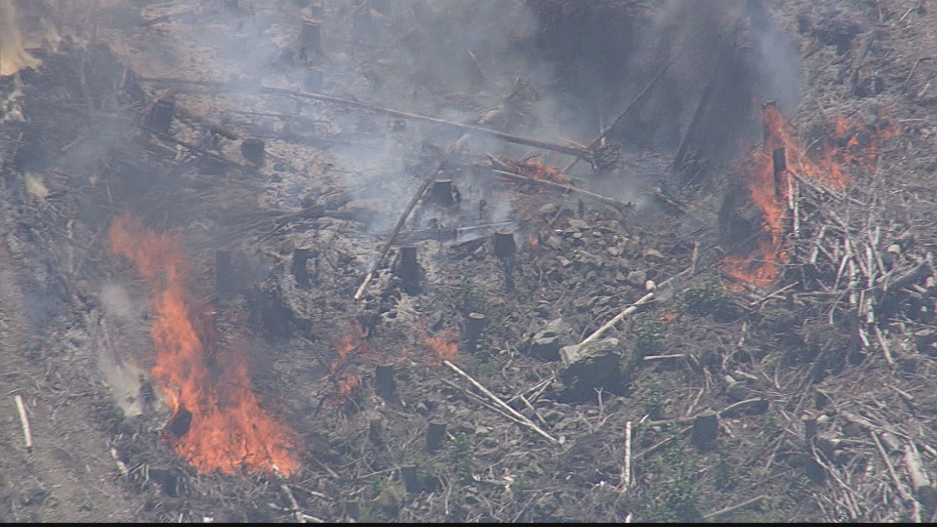【速報】「山頂に向かって燃え広がっている」福岡・久留米市で山火事の通報 草刈り中に火が出たか 消防が出動 乾燥注意報が発表中