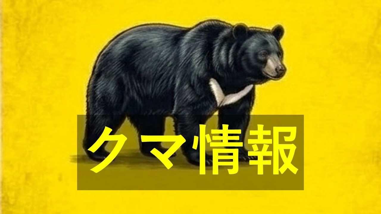 山口市の国道にクマ　体長約１メートル　道路横断して山間部へ　ＪＲ地福駅近く