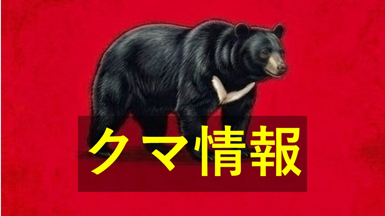 「山の中にいた」　山口市でクマ目撃か　警察が住民に注意呼びかけ