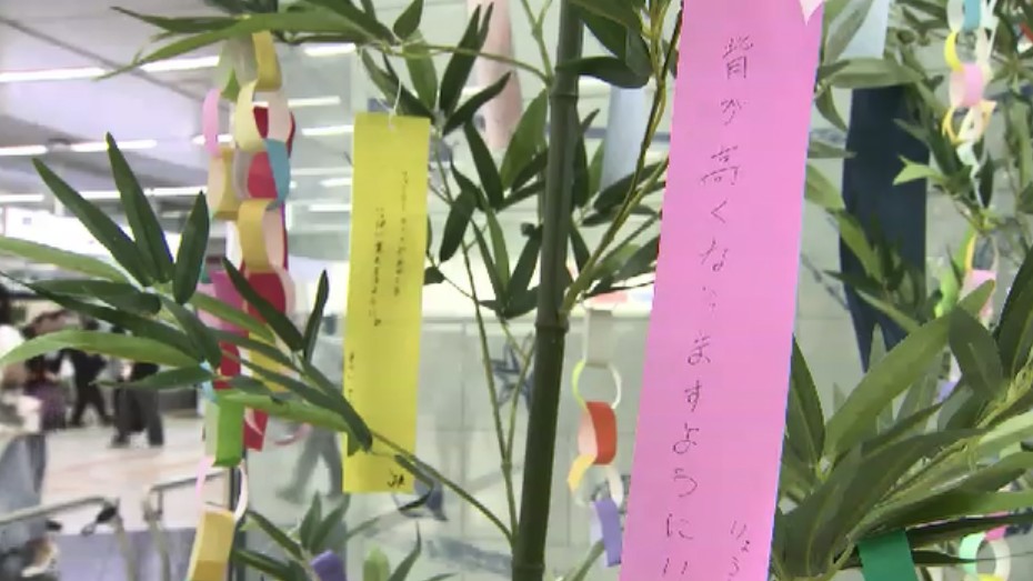 「逆上がりができるようになりますように」色とりどりの短冊に願い 保育園児40人がJR博多駅で七夕の飾り付け 福岡