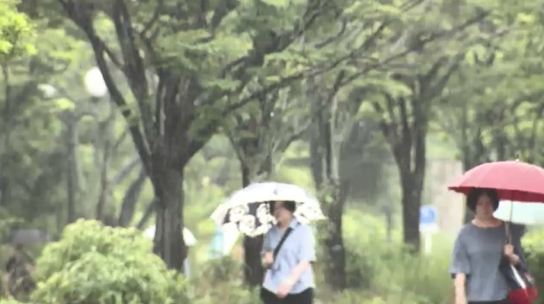 2日明け方にかけて雷を伴った大雨のおそれ　福岡の予想雨量を詳しく　土砂災害に厳重警戒呼びかけ　梅雨前線の影響　気象台