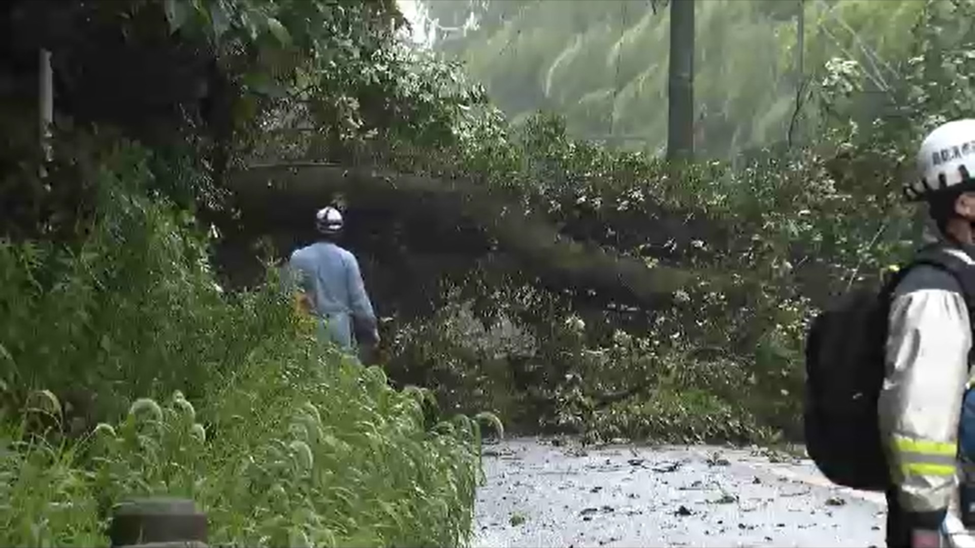 福岡市動植物園近くで倒木 道路をふさぎ周辺を通行止め 路線バス迂回運行などで渋滞発生