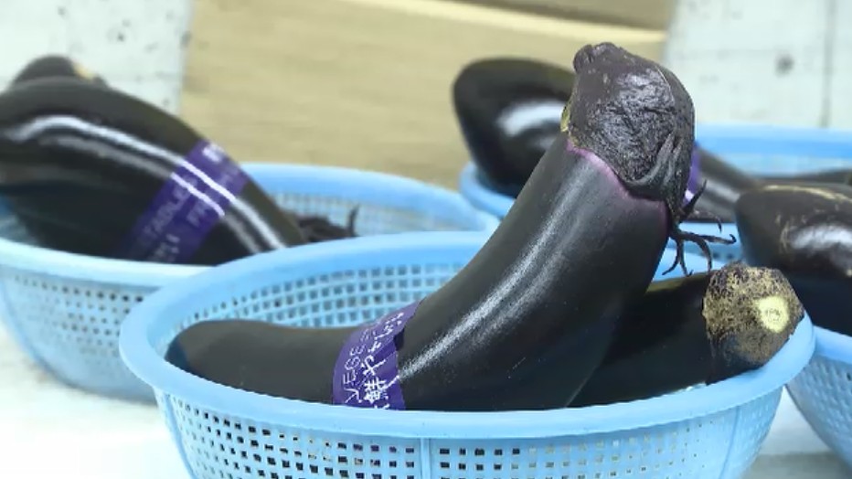 キュウリの価格は約2倍　梅雨の大雨で夏野菜が品薄に　これから猛暑でさらに値上がりも　規格外野菜で安さの工夫　福岡