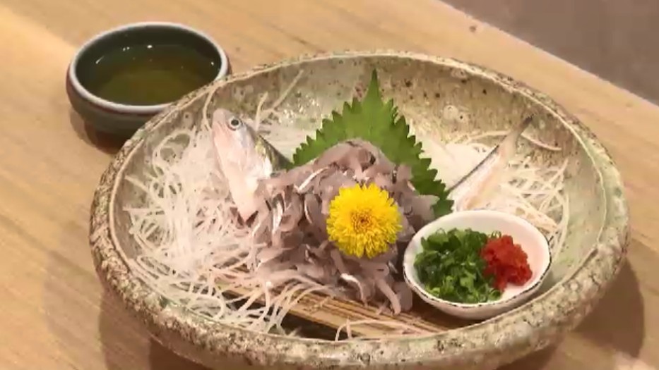 有明海の恵み「エツ」を守れ 漁獲量減少で“幻の魚”に 全国唯一の人工ふ化に取り組む漁協の挑戦 50万匹放流へ